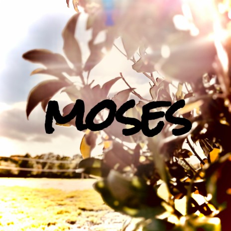 MOSES | Boomplay Music