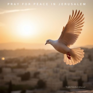 Pray For Peace In Jerusalem lyrics | Boomplay Music