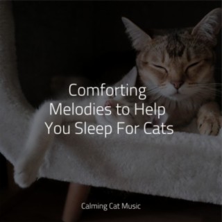 Music for Relaxing Cats