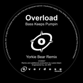 Bass Keeps Pumpin (Yorkie Bear Remix)