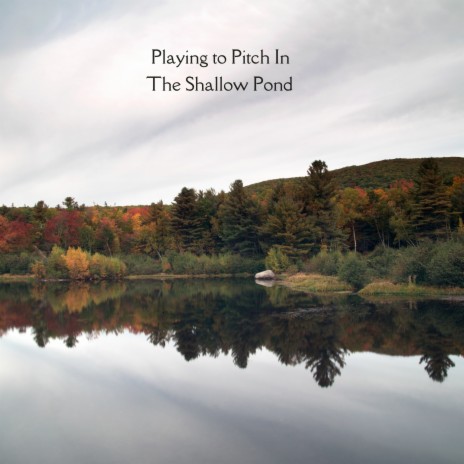 The Shallow Pond | Boomplay Music