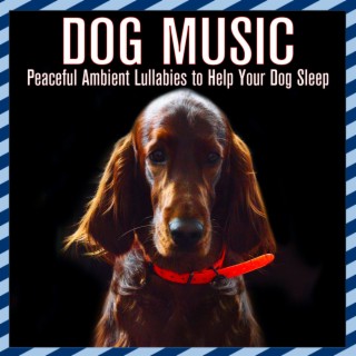 Dog Music: Peaceful Ambient Lullabies to Help Your Dog Sleep