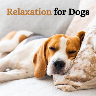 Relaxation for Dogs