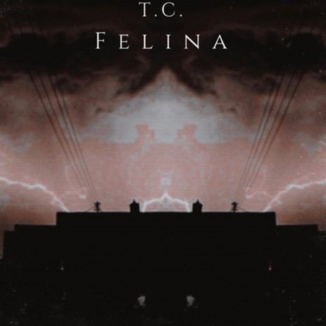 Felina: I. Spider