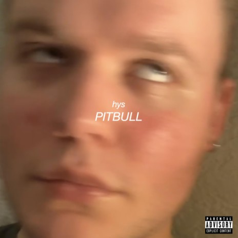 Pitbull | Boomplay Music