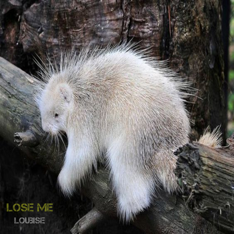 Lose Me | Boomplay Music