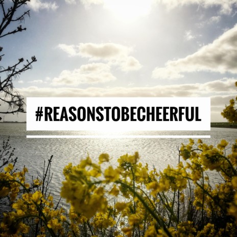 Reasons to Be Cheerful