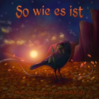 So wie es ist