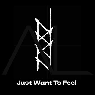 Just Want To Feel