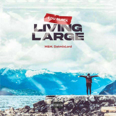 LIVING LARGE | Boomplay Music