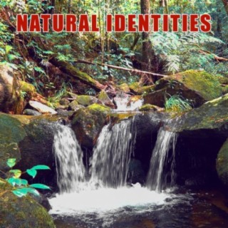 Natural Identities