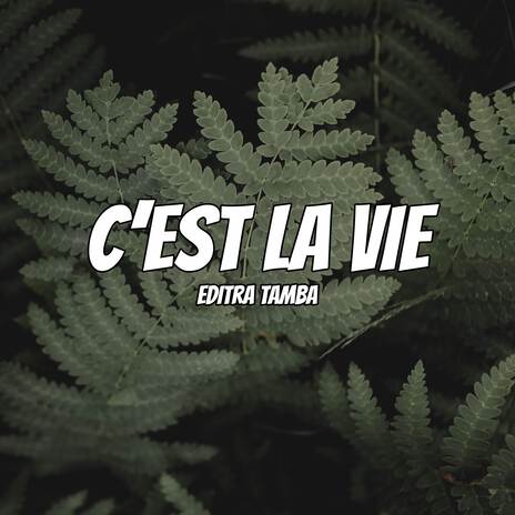 C'est La Vie | Boomplay Music