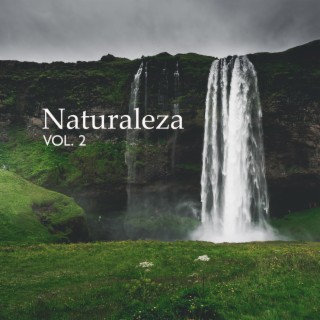 Naturaleza Vol. 2: Instrumental Calmante para Profunda Armonía y Equilibrio (Lluvia, Las Olas del Mar, Canto de Los Pájaros y Cascada)