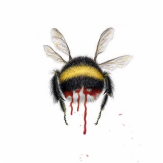 bumblebee's bleed