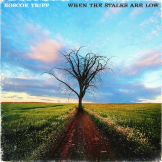 When the Stalks Are Low (Radio Edit) lyrics | Boomplay Music