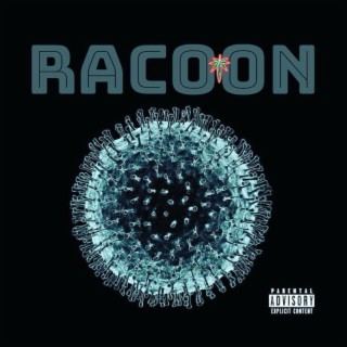 Racoon