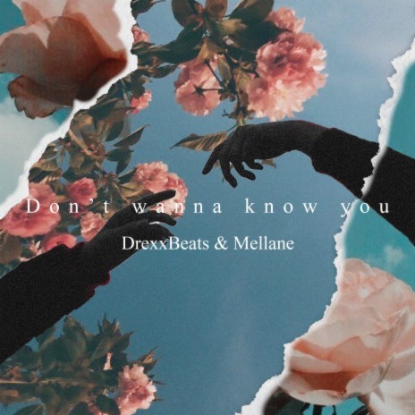 Don't Wanna Know You ft. Melláne | Boomplay Music