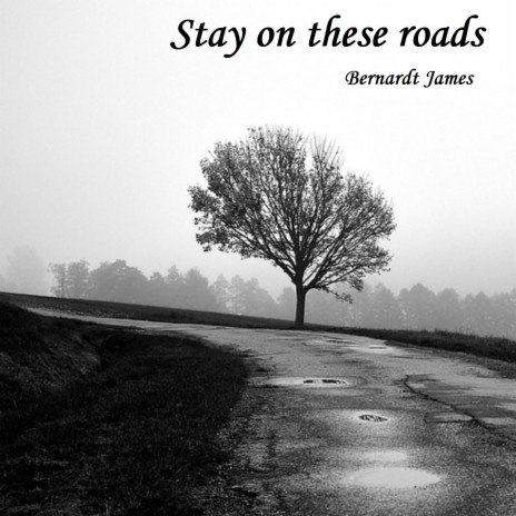 Stay On These Roads | Boomplay Music