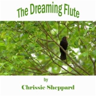 The Dreaming Flute