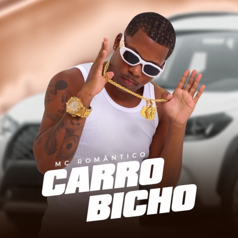 Carro Bicho ft. DJ Christian Vibe | Boomplay Music