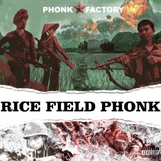 Rice Field Phonk