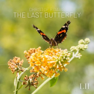 The Last Butterfly