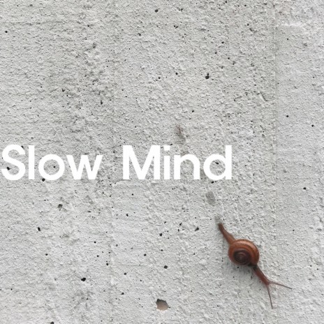 Slow Mind | Boomplay Music