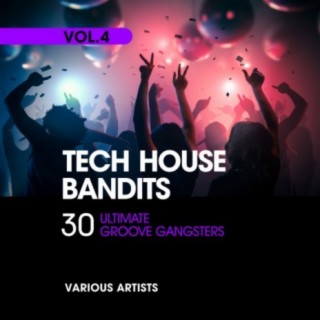 Tech House Bandits (30 Ultimate Groove Gangsters), Vol. 4