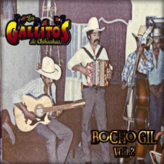 Ft. Bocho Gil (Audio Cassette) 1993, Vol. 2