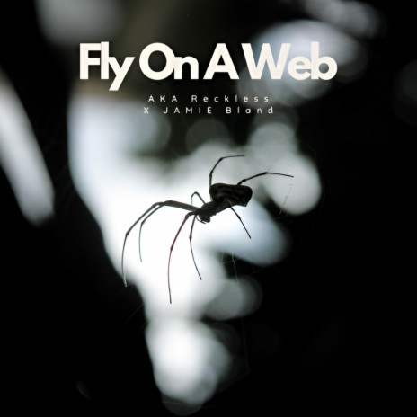 Fly On A Web ft. Jamie Bland | Boomplay Music