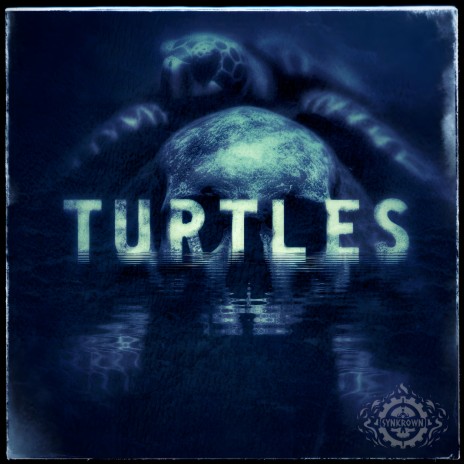 Turtles | Boomplay Music