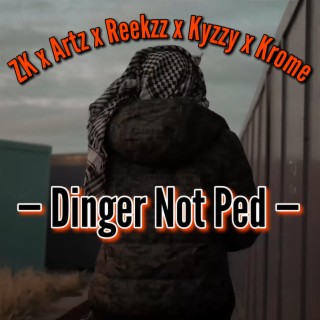 Dinger Not Ped