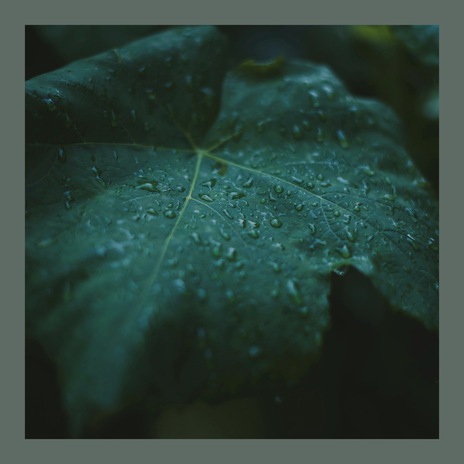 Drops of Water | Boomplay Music