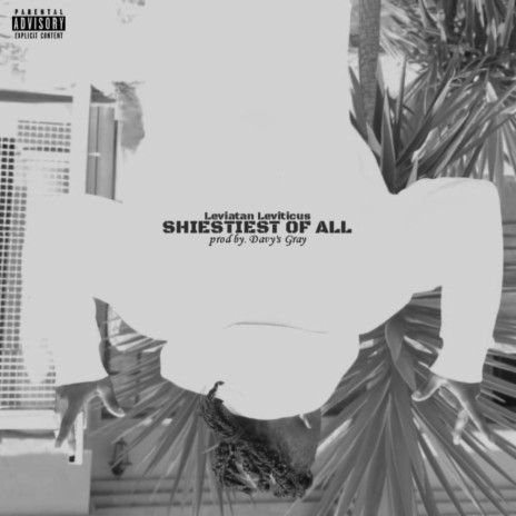 Shiestiest Of All ft. Davy's Gray | Boomplay Music