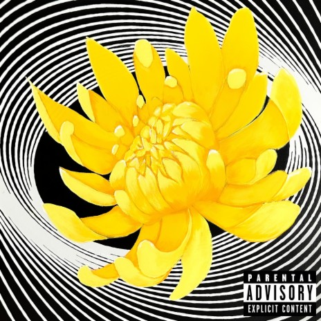 Chrysanthemum | Boomplay Music