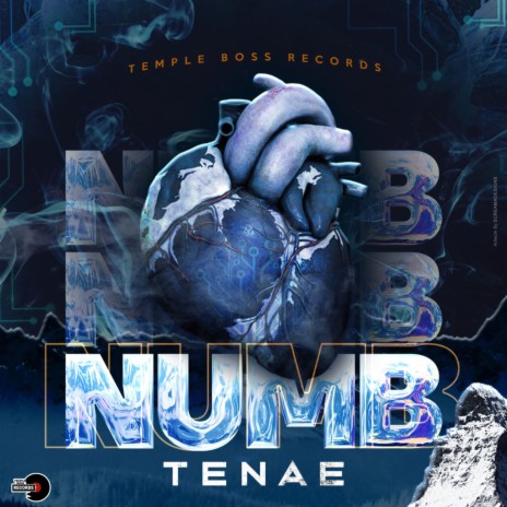 Numb ft. Templeboss | Boomplay Music