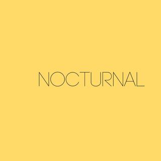 NIGHT & THE NOCTURNAL