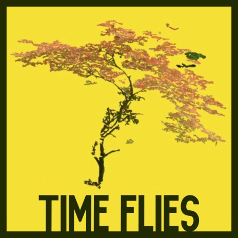 Time Flies | Boomplay Music