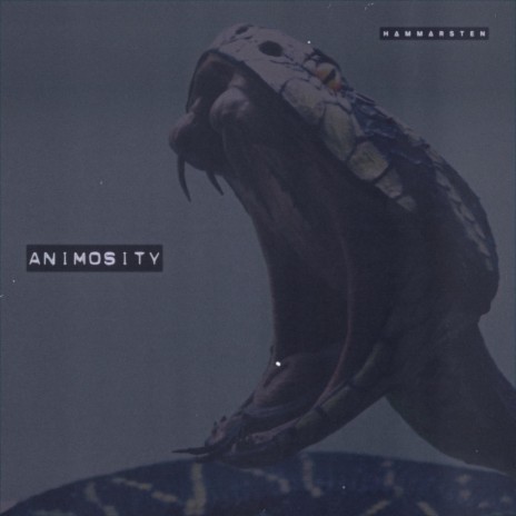 Animosity | Boomplay Music