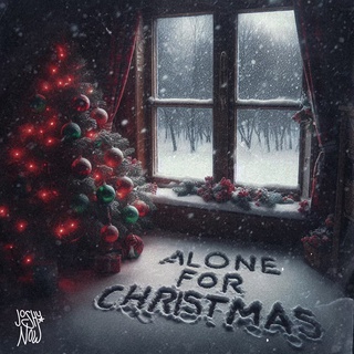 Alone For Christmas