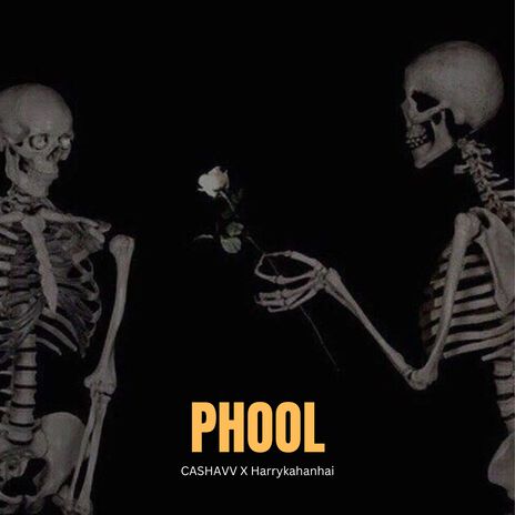 Phool (Slowed Reverb) ft. CASHAVV | Boomplay Music