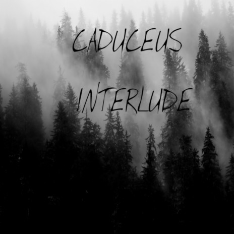 Interlude