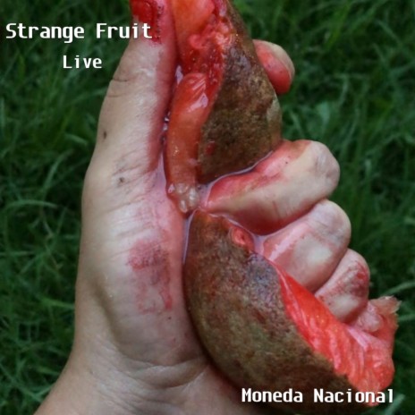 Strange Fruit (live) | Boomplay Music