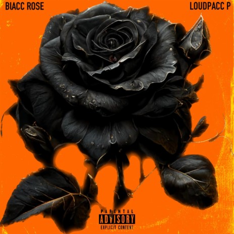 BLACC ROSE | Boomplay Music