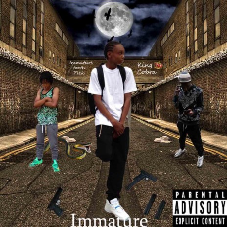 In The Cut (feat. Immature Will) | Boomplay Music