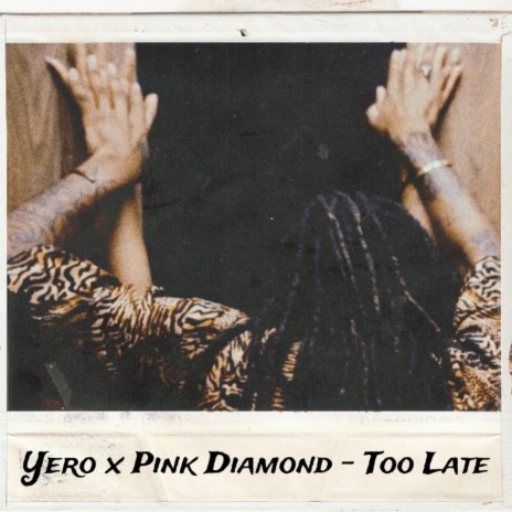 Too Late ft. Pink Diamond & DJ Richanatti