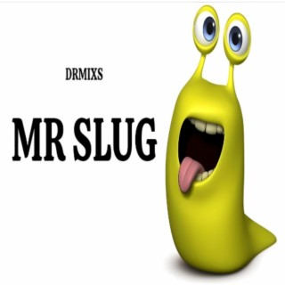 Mr Slug Song