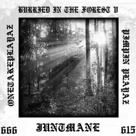 BURRIED IN THE FOREST V | Boomplay Music