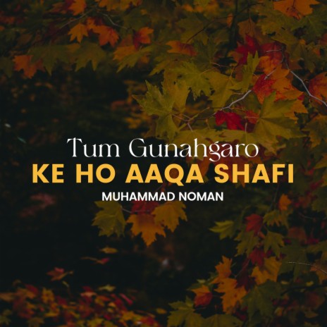 Tum Gunahgaro Ke Ho Aaqa Shafi | Boomplay Music