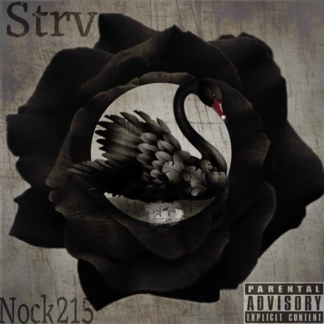 Black Swan ft. Nock215 | Boomplay Music